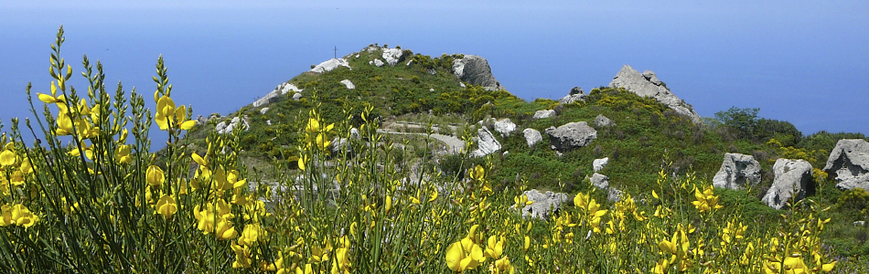 Epomeo. Blick vom Berggipfel