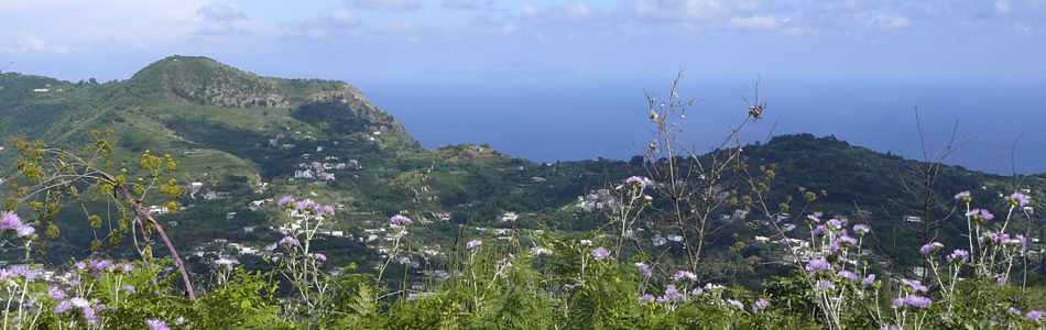 Ischia. Blick auf den Ostküste
