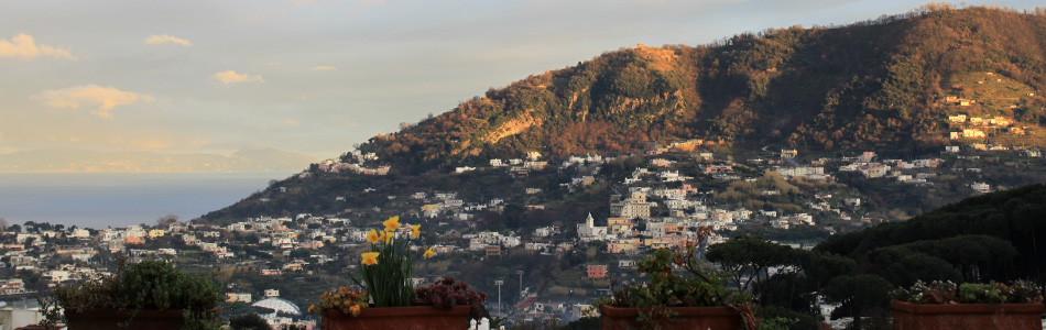 Ischia. Panoramablick