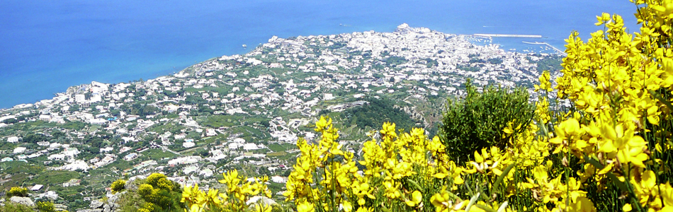 Ischia. Panoramablick