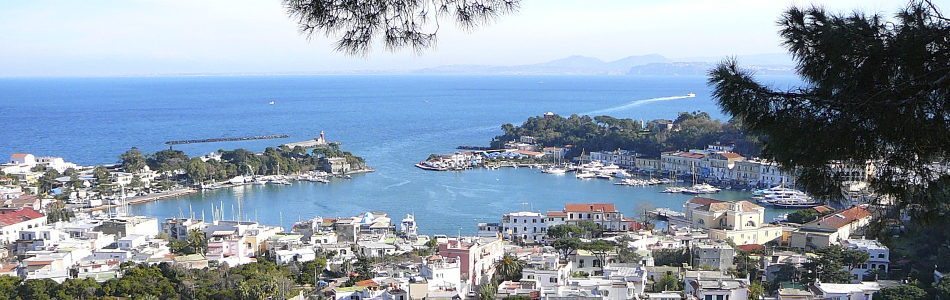 Ischia. Hafen