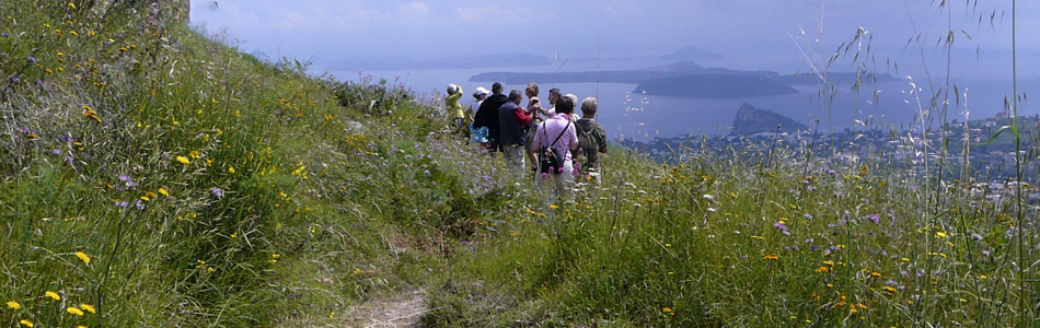 Ischia. Wandern auf Wanderwege mit Wanderführer