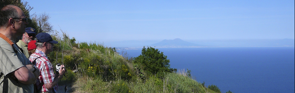 Ischia. Wandern auf Wanderwege mit Wanderführer