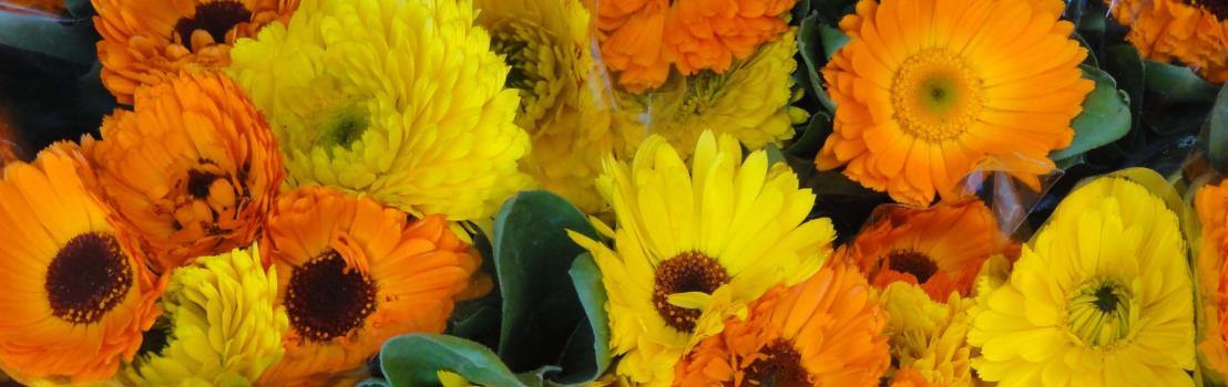 Ischia. Blumenstraus