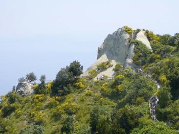 Ischia. Epomeo-Gipfel