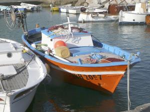 Ischia. Fischerboot