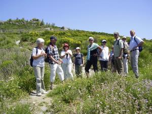 Ischia. Wandern mit Wanderführer