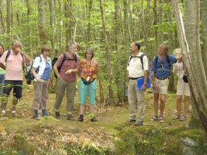 Ischia. Wanderung mit Wanderführer