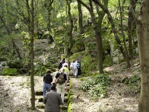 Ischia. Wandern in Wandergruppe mit Wanderführer auf den Wanderwege der Insel